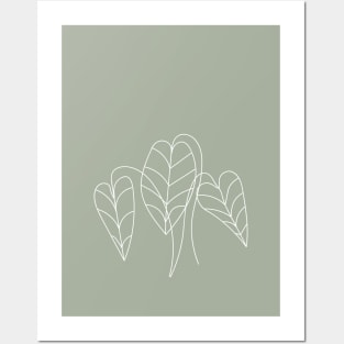 Boho, Sage Green Decor, Line Art, Botanical Posters and Art